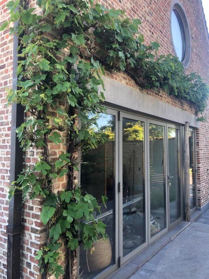 Landelijke Villa Met Zwembad En Gezellige Openhaard Zemst Kültér fotó